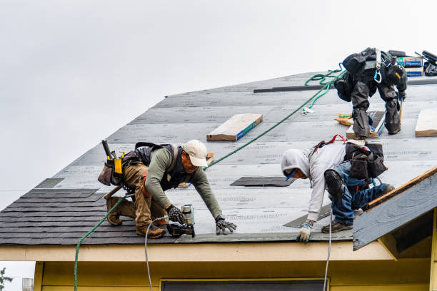 Professional Gutter Installation technician working in Halsey, OR